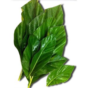 Bai Yor Leaf Morinda 100g item 268