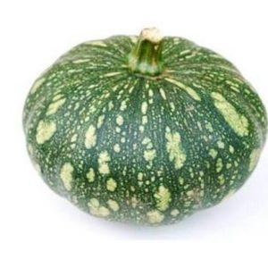 Green Pumpkin Kg