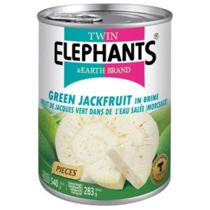Twin Elephant Green Jackfruit 540g