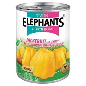 Twin Elephant Jackfruit in Syrup 565g
