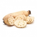 Lotus Root kg